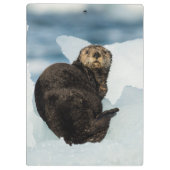 Meeresrauscher Klemmbrett (Rückseite)