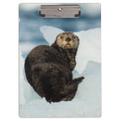 Meeresrauscher Klemmbrett (Vorderseite)