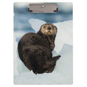 Meeresrauscher Klemmbrett