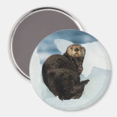 Meeresrauscher Magnet (Vorderseite/Rückseite)