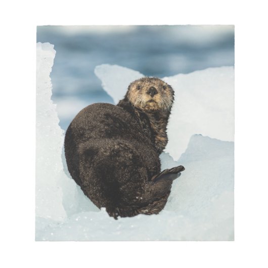 Meeresrauscher Notizblock (Vorderseite)