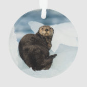 Meeresrauscher Ornament (Rückseite)