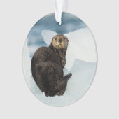 Meeresrauscher Ornament (Vorderseite)