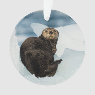 Meeresrauscher Ornament