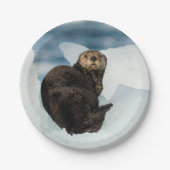 Meeresrauscher Pappteller (Vorderseite)