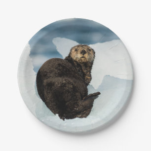 Meeresrauscher Pappteller