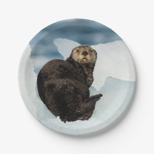 Meeresrauscher Pappteller (Vorderseite)