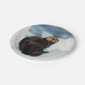 Meeresrauscher Pappteller (Schrägansicht)