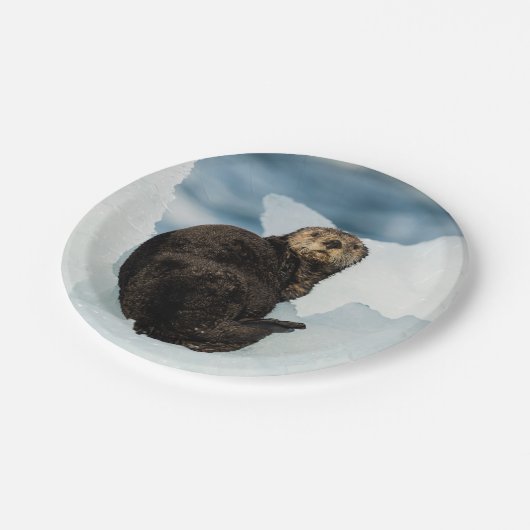 Meeresrauscher Pappteller (Schrägansicht)