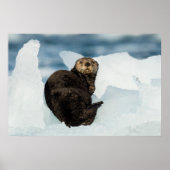 Meeresrauscher Poster (Vorne)