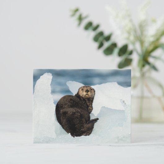 Meeresrauscher Postkarte (Stehend Vorderseite)