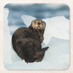 Meeresrauscher Rechteckiger Pappuntersetzer