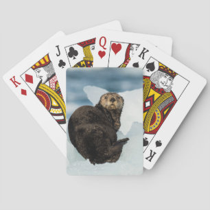 Meeresrauscher Spielkarten