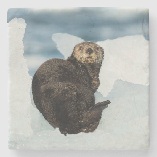 Meeresrauscher Steinuntersetzer (Vorderseite)