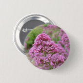 Meeresrosa Button (Vorne & Hinten)