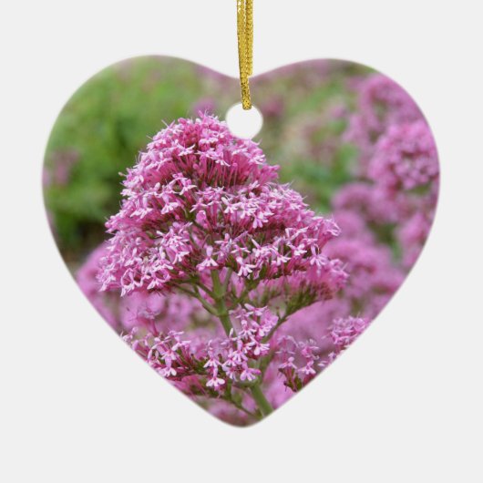 Meeresrosa Keramikornament (Vorne)