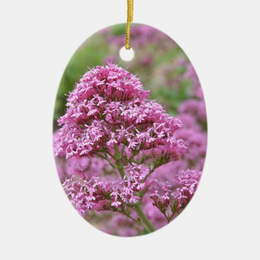 Meeresrosa Keramikornament (Vorne)