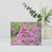 Meeresrosa Postkarte (Stehend Vorderseite)