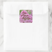 Meeresrosa Quadratischer Aufkleber (Tasche)