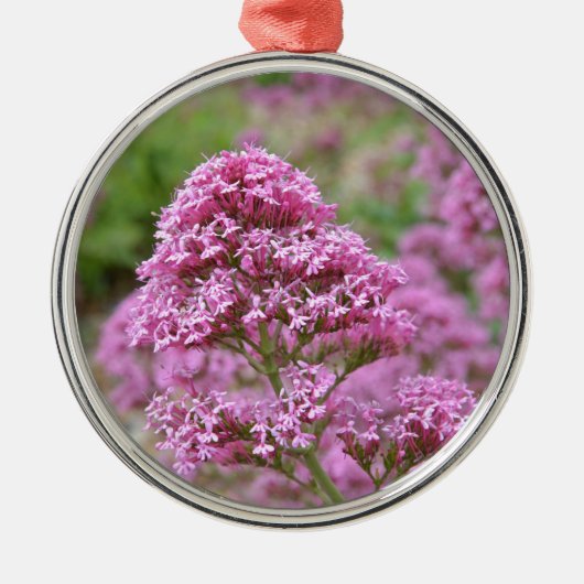 Meeresrosa Silbernes Ornament (Vorne)