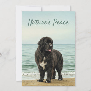 Meeresruhe – Newfoundland Hund Natur Einladung