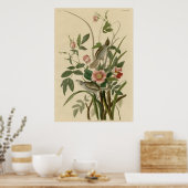 Meeressandfinch Poster (Küche)