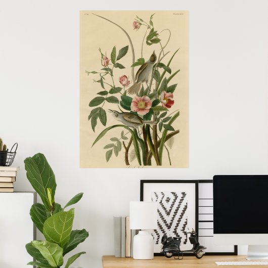 Meeressandfinch Poster (Heimbüro)