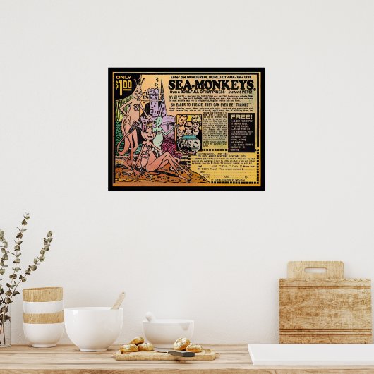 Meeressäuger Poster (Küche)