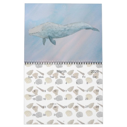 Meeressäugetiere Kalender (Mär 2026)