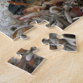 Meeresschätze Fotografisch Puzzle (Seite)