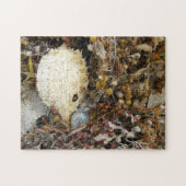 Meeresschätze Fotografisch Puzzle (Horizontal)