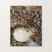 Meeresschätze Fotografisch Puzzle (Vertikal)