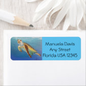 Meeresschildkröte (Insitu)