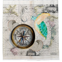 Meeresschildkröte-Atlas