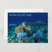 Meeresschildkröte auf dem Great Barrier Reef Postkarte (Vorne/Hinten)