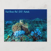 Meeresschildkröte auf dem Great Barrier Reef Postkarte (Vorderseite)