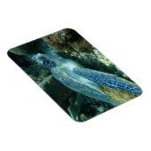 Meeresschildkröte auf dem Meeresboden-Foto Magnet (Rechte Seite)