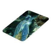 Meeresschildkröte auf dem Meeresboden-Foto Magnet (Linke Seite)