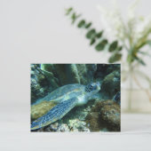 Meeresschildkröte auf dem Meeresboden-Foto Postkarte (Stehend Vorderseite)
