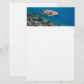 Meeresschildkröte Briefpapier (Vorne/Hinten)
