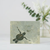 Meeresschildkröte, die aus dem Meer schwimmt Postkarte (Stehend Vorderseite)