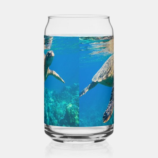 Meeresschildkröte Dosenglas (Links)