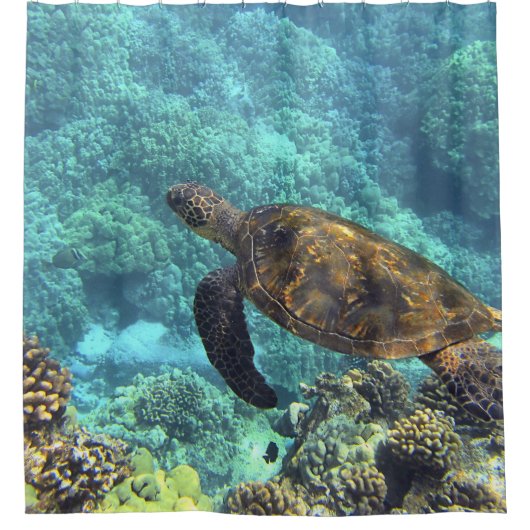 Meeresschildkröte Duschvorhang (Vorderseite)