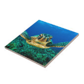 Meeresschildkröte Fliese (Seite)