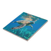 Meeresschildkröte Fliese (Seite)