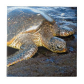 Meeresschildkröte Fliese (Vorderseite)