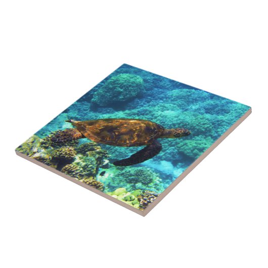 Meeresschildkröte Fliese (Seite)