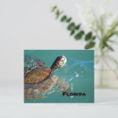Meeresschildkröte, Florida Postkarte (Stehend Vorderseite)