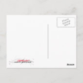 Meeresschildkröte, Florida Postkarte (Rückseite)