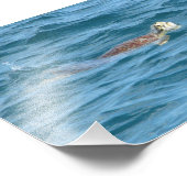 Meeresschildkröte Fotodruck (Ecke)